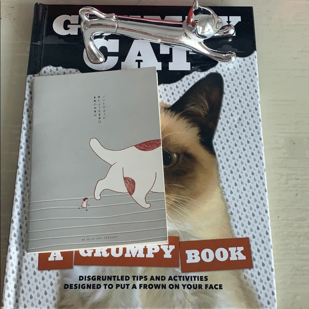 Cat lover combo (book+mini notebook+ desk pen)